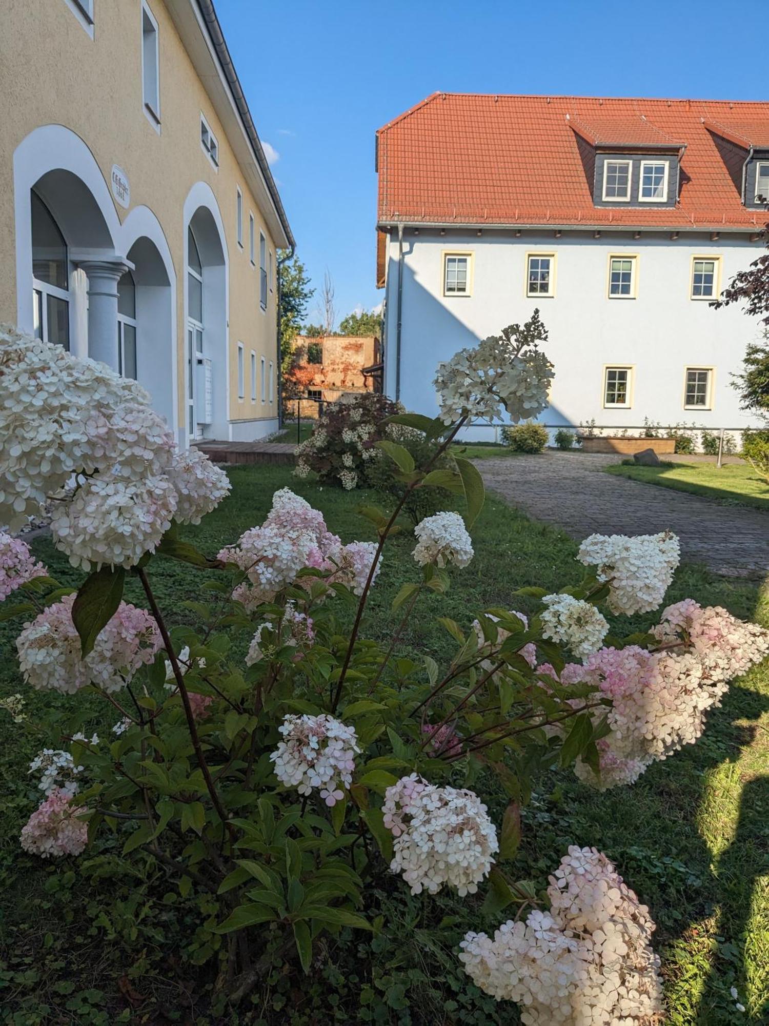 Hof Gruebler Apartamento Klipphausen Exterior foto